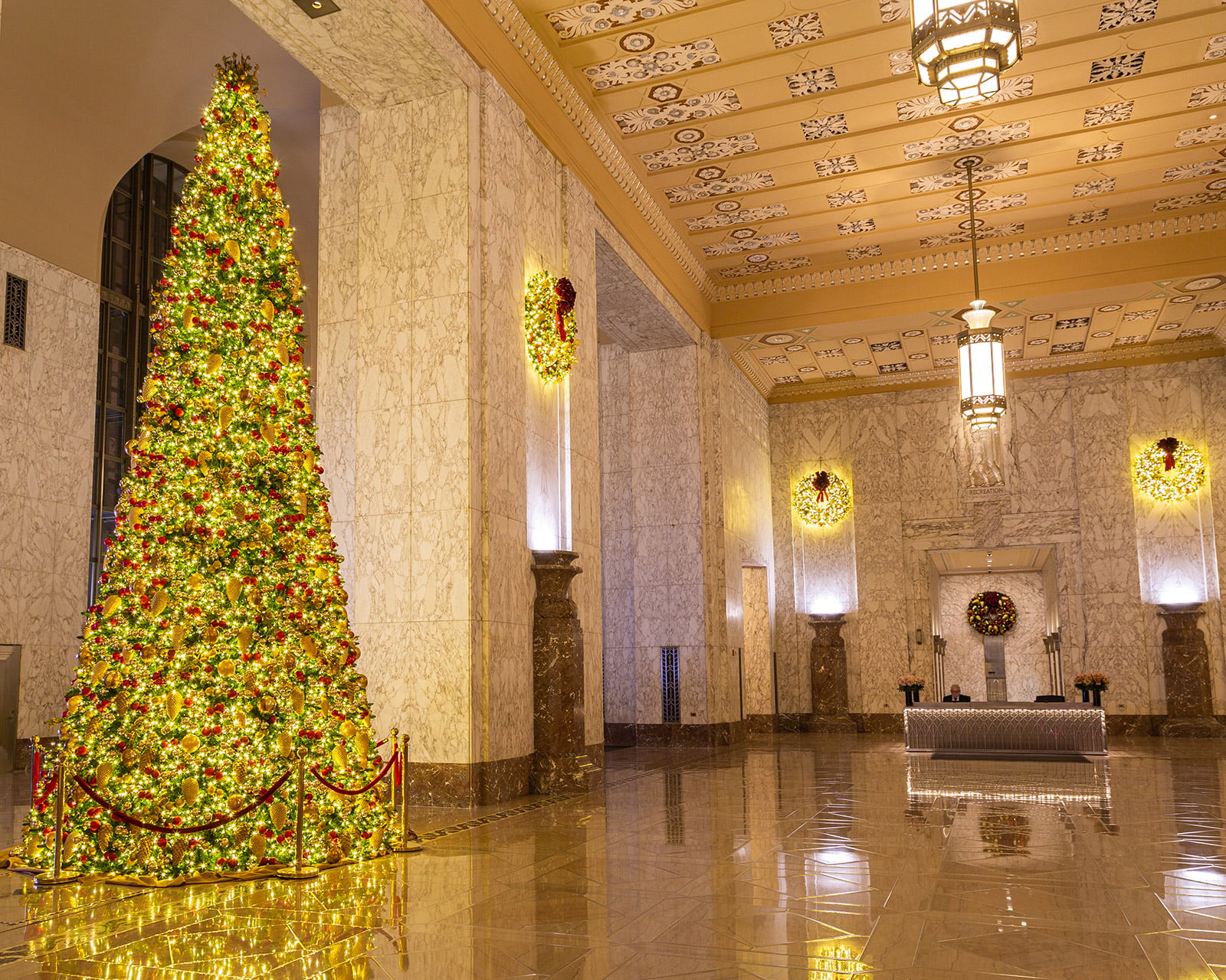 Cambridge commercial Christmas tree installation for Bronx properties